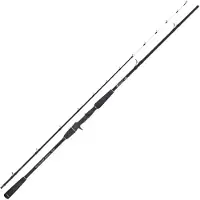 Captain James Sea Master Bottom Jigging Rod Zilver 2.40 m / 100-250 g
