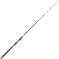 Falcon Blue Fighter Coastal Trolling Rod Zilver 1.83 m / 50 Lbs
