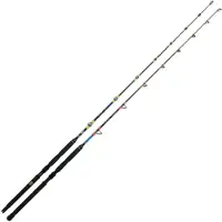 Xzoga Monster Ace Ma Eb Trolling Rod Zilver 1.98 m / 2.2 Lbs