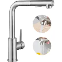 CECIPA MAX Keukenkraan met Uittrekbare Uitloop - Keukenmengkraan - Handdouche - Uittrekbaar - 2 straalsoorten - Zilver