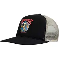 Santa Cruz Out Of Time Meshback Pet