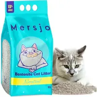Hobby Hall NEUTRAL - Kattenbakvulling - Bentoniet - 10L - Natuurlijke Absorptie