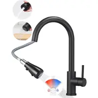 CECIPA MAX Keukenkraan Met Uittrekbare Uitloop - keukenkranen zwart - Handdouche - 2 Waterafvoermodi – Keukenmengkraan - Zwart