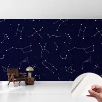 Coloray Zelfklevend Behang - Astro Sky Zelfklevend fotobehang - 416x254 cm - Marine Zelfklevend Behang - Voor de slaapkamer, woonkamer en kantoor - Herpositioneerbaar - Stickerbehang op rol