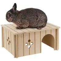 Ferplast 52x31x26 Cm Knaagdierenhuis