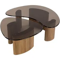 AnLi Style Salontafel Tinto organisch set/2