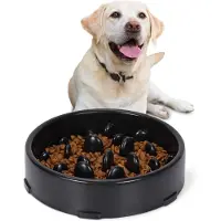 JeiibrZui Hondenvoerbak - Anti-Schrokbak Voor Honden - Langzaam Eten Bevorderen + Antislip Ontwerp - 1 Stuk - Huisdieren Gezondheid+Zwart