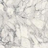 Navale Mara vloertegel 120x120cm wit marmer met grijze aders mat R9A gerectificeerd