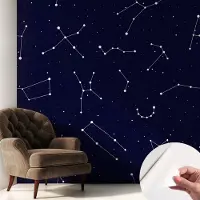 Coloray Zelfklevend Behang - Astro Sky Zelfklevend fotobehang - 250x250 cm - Marine Zelfklevend Behang - Voor de slaapkamer, woonkamer en kantoor - Peel-and-stick techniek - Stickerbehang op rol