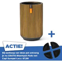 Capi Europe Vaas hoog groove d11h17 zwart goud