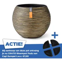 Capi Europe Bloempot Nature-Rib Goud / Zwart D 18 H 15 Cm