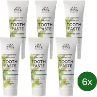 Urtekram Tandpasta Strong Mint (Sensitive) – 75 ml – Multipack met 6 stuks
