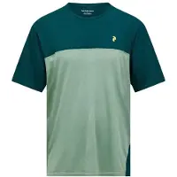 Peak Performance - Trail Wool Blend S/S - Merinoshirt S, meerkleurig