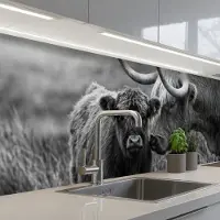 KitchenYeah Keuken achterwand 300x80 cm - Spatscherm zelfklevend Schotse hooglander - Kalf - Zwart - Wit - Muurbeschermer - Spatwand fornuis