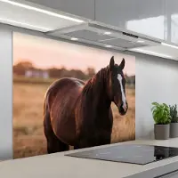 KitchenYeah Spatscherm 100x75 cm - Zelfklevende achterwand Paard - Zonsondergang - Bruin - Keuken muurbeschermer - Spatwand fornuis