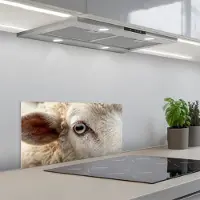 KitchenYeah Spatscherm 60x30 cm - Zelfklevende achterwand Schaap - Oog - Wit - Keuken muurbeschermer - Spatwand fornuis