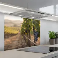 KitchenYeah Spatscherm 80x60 cm - Zelfklevende achterwand Druiven - Wijngaard - Zonlicht - Keuken muurbeschermer - Spatwand fornuis