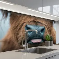 KitchenYeah Keuken achterwand 100x60 cm - Spatscherm zelfklevend Schotse hooglander - Neus - Bruin - Muurbeschermer - Spatwand fornuis