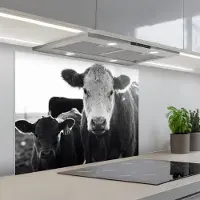 KitchenYeah Spatscherm 80x60 cm - Zelfklevende achterwand Koeien - Zwart - Wit - Keuken muurbeschermer - Spatwand fornuis