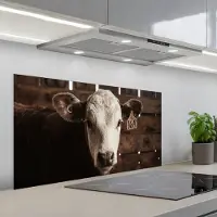 KitchenYeah Spatscherm 100x50 cm - Zelfklevende achterwand Kalf - Oormerk - Houten stal - Keuken muurbeschermer - Spatwand fornuis