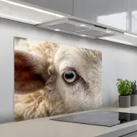 KitchenYeah Spatscherm 100x65 cm - Zelfklevende achterwand Schaap - Oog - Wit - Keuken muurbeschermer - Spatwand fornuis