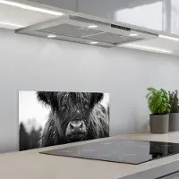 KitchenYeah Spatscherm 70x30 cm - Zelfklevende achterwand Schotse hooglander - Zwart - Wit - Sneeuwvlokken - Keuken muurbeschermer - Spatwand fornuis