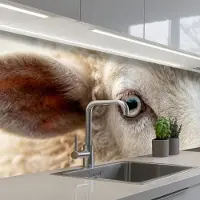 KitchenYeah Keuken achterwand 200x60 cm - Spatscherm zelfklevend Schaap - Oog - Wit - Muurbeschermer - Spatwand fornuis
