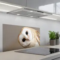 KitchenYeah Spatscherm 80x40 cm - Zelfklevende achterwand Uil - Bruin - Wit - Keuken muurbeschermer - Spatwand fornuis