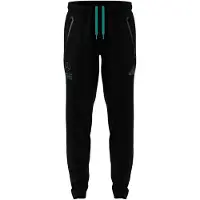 Adidas Mercedes-amg Petronas F1 Team Lot Vt Broek