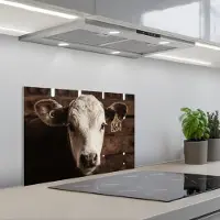 KitchenYeah Spatscherm 60x40 cm - Zelfklevende achterwand Kalf - Oormerk - Houten stal - Keuken muurbeschermer - Spatwand fornuis