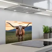 KitchenYeah Spatscherm 60x40 cm - Zelfklevende achterwand Longhorn - Landschap - Zonsondergang - Keuken muurbeschermer - Spatwand fornuis
