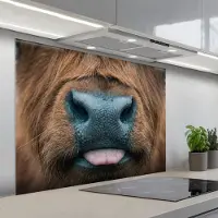 KitchenYeah Spatscherm 100x75 cm - Zelfklevende achterwand Schotse hooglander - Neus - Bruin - Keuken muurbeschermer - Spatwand fornuis