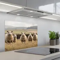 KitchenYeah Spatscherm 70x50 cm - Zelfklevende achterwand Schapen - Weidenlandschap - Heuvels - Keuken muurbeschermer - Spatwand fornuis