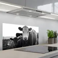 KitchenYeah Spatscherm 90x45 cm - Zelfklevende achterwand Koeien - Zwart - Wit - Keuken muurbeschermer - Spatwand fornuis