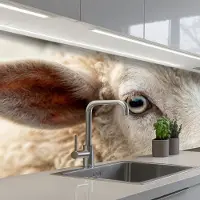 KitchenYeah Keuken achterwand 150x80 cm - Spatscherm zelfklevend Schaap - Oog - Wit - Muurbeschermer - Spatwand fornuis