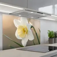 KitchenYeah Spatscherm 90x60 cm - Zelfklevende achterwand Narcis - Bloem - Minimalistisch - Keuken muurbeschermer - Spatwand fornuis
