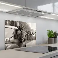 KitchenYeah Spatscherm 70x50 cm - Zelfklevende achterwand Eland - Auto - Gewei - Zwart - Wit - Keuken muurbeschermer - Spatwand fornuis