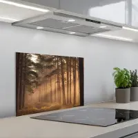 KitchenYeah Spatscherm 60x45 cm - Zelfklevende achterwand Bos - Mist - Zonlicht - Keuken muurbeschermer - Spatwand fornuis