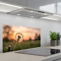 KitchenYeah Spatscherm 80x40 cm - Zelfklevende achterwand Paardenbloem - Zonsondergang - Veld - Keuken muurbeschermer - Spatwand fornuis