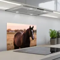 KitchenYeah Spatscherm 60x45 cm - Zelfklevende achterwand Paard - Zonsondergang - Bruin - Keuken muurbeschermer - Spatwand fornuis