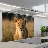 KitchenYeah Spatscherm 90x60 cm - Zelfklevende achterwand Leeuwin - Gras - Geel - Keuken muurbeschermer - Spatwand fornuis