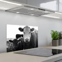 KitchenYeah Spatscherm 60x40 cm - Zelfklevende achterwand Koeien - Zwart - Wit - Keuken muurbeschermer - Spatwand fornuis