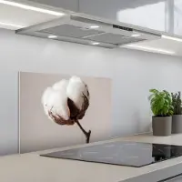 KitchenYeah Spatscherm 60x40 cm - Zelfklevende achterwand Katoenbol - Minimalistisch - Wit - Keuken muurbeschermer - Spatwand fornuis