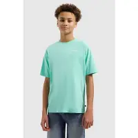 Ballin T-shirt met backprint mintgroen Jongens Katoen Ronde hals Backprint - maat 164