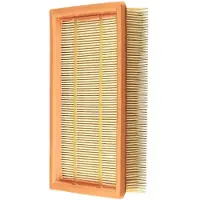 Alapure Stofzuigerfilter voor Karcher 6.904-367.0