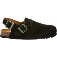 Scholl Klomp Men Olivier Backstrap Black-Schoenmaat 43