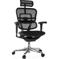 Hjh OFFICE Bureaustoel / Directiestoel ERGOHUMAN ULTRA F GEN2 Zitting stof / rugleuning mesh zwart