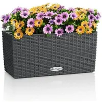 Lechuza BALCONERA Cottage 40 - Plantenbak - met uitneembare binnenbak - met bewateringssysteem - ALL-IN-ONE set met -PON - graniet