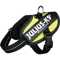 JULIUS K-9 IDC Powertuig - 2XS - Baby2 - Neon