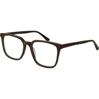 Funky Buddha Brilrand FBD1053 005 54